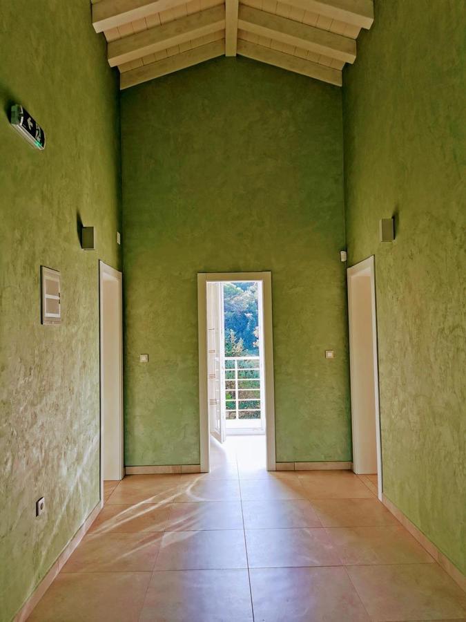 Villa Olivia - New And Modern House With Pool, Souna, Jacuzzi & Playground, Liznjan - Istra Zewnętrze zdjęcie